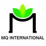 Logo CÔNG TY TNHH QUỐC TẾ MQ
