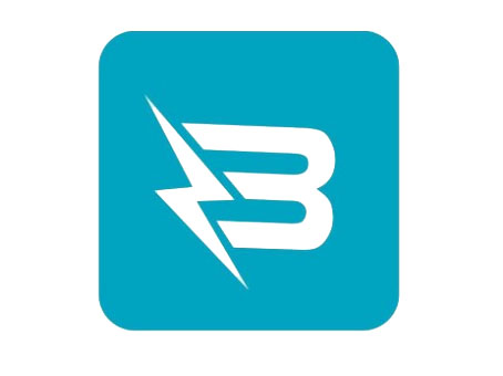 Logo Công ty TNHH MTV TM VÀ DV BẢO LÂN