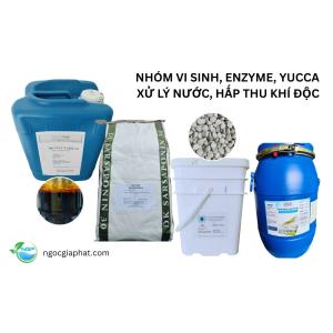 Yucca nguyên liệu - Vi sinh Pro B - Enzyme xử lý nước