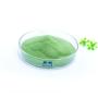 GREEN SEAWEED EXTRACT MICRO PARTICLE FOR PLANTS